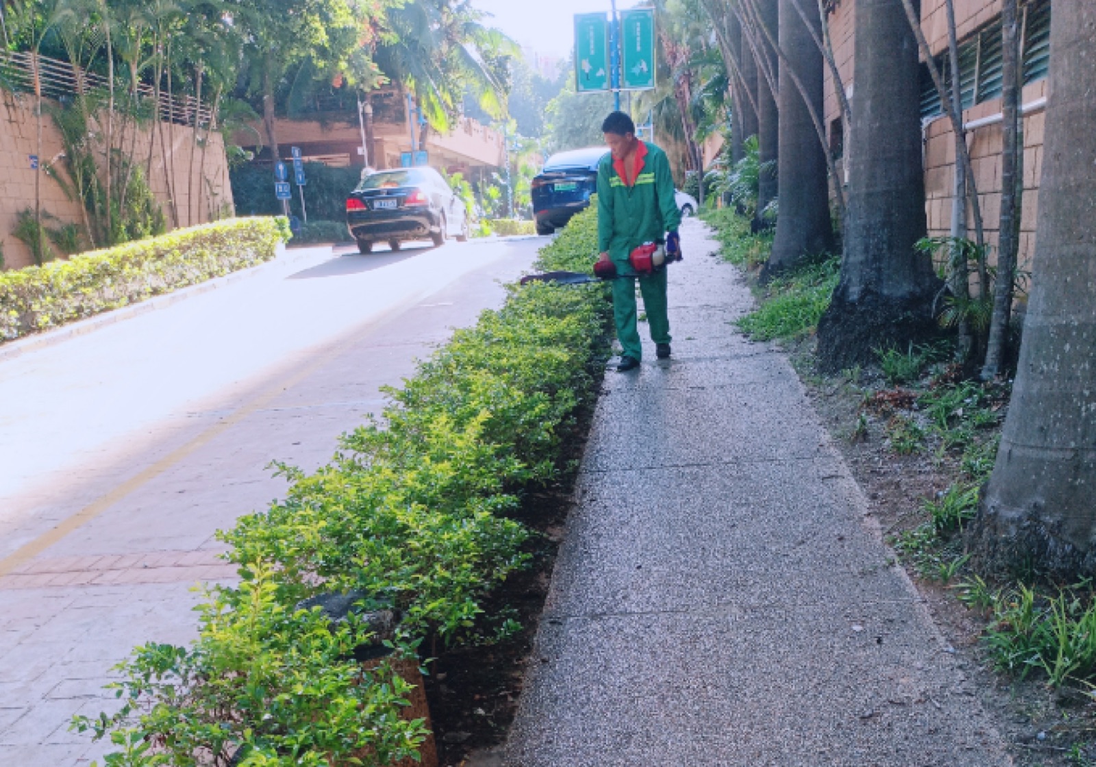 绿化人员使用设备修剪草坪